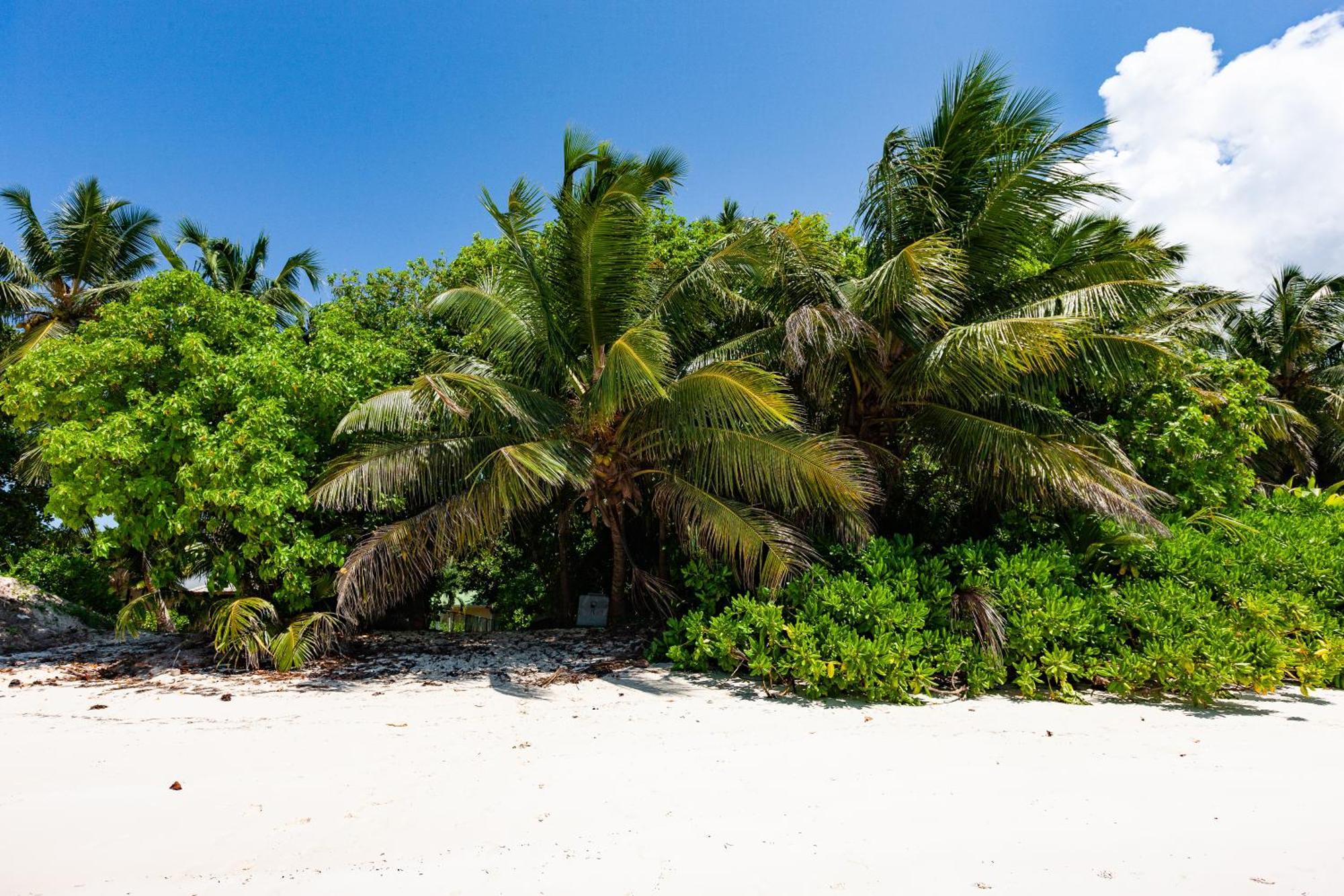 Bijoutier Apartments Grand Anse  Exteriér fotografie